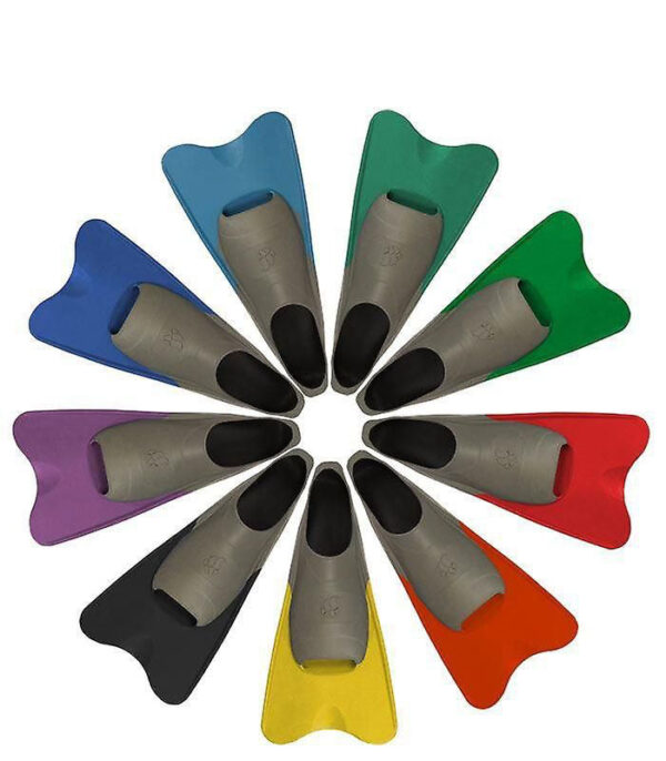 Palmes Courtes Taille à La Couleur