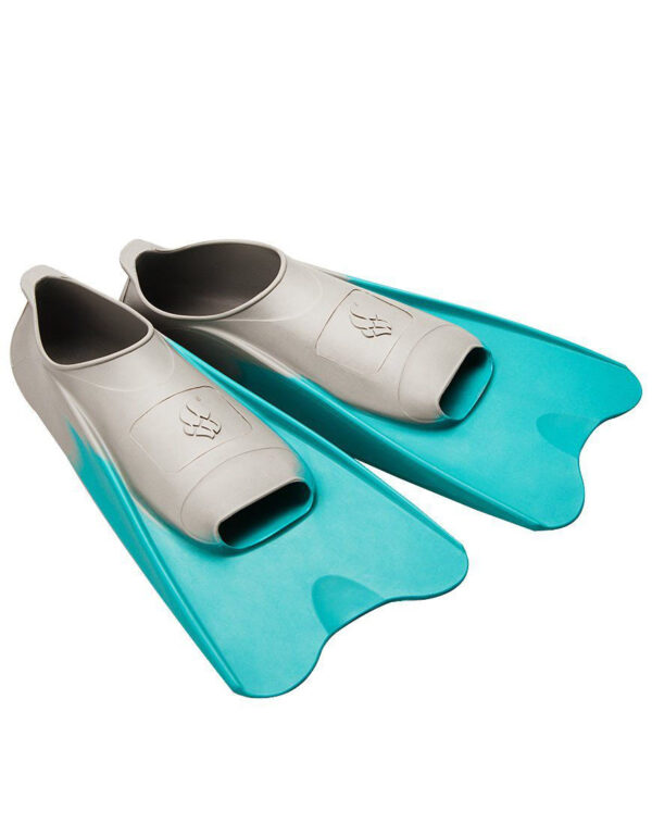 Palmes Courtes Taille à La Couleur – Image 8