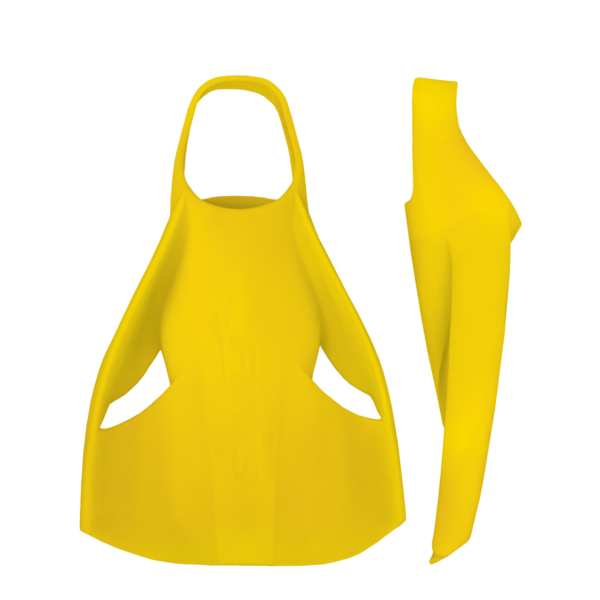 Palmes Edge Finis