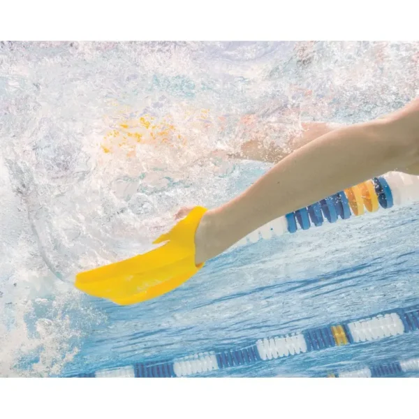 Palmes Edge Finis – Image 2